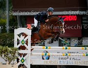 COLOMBO Sir Luis GioCav2013 S5 3004 : COLOMBO Alessandro, Campionati Italiani Giovani Cavalli, Cattolica, Sir Luis, ph Stefano Secchi ©